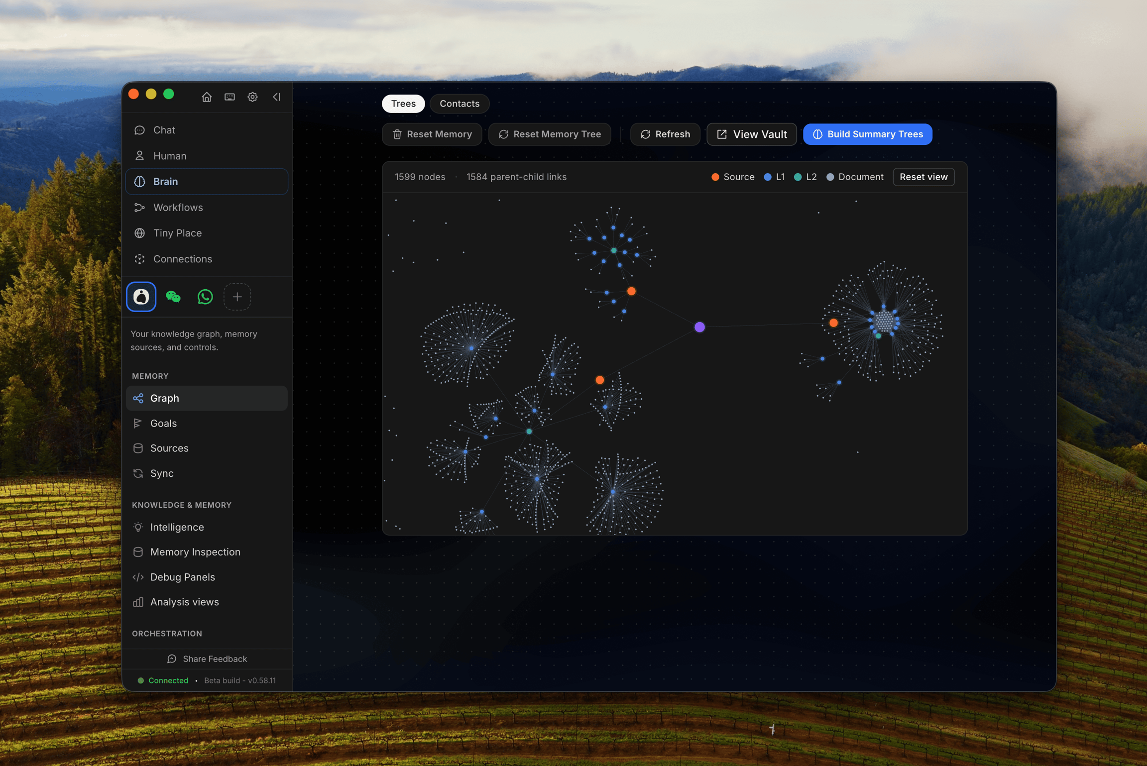 Obsidian DEX Analysis